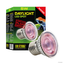 Exoterra Bombilla Exo-Terra Daylight LED Spot Nano, , large indicador imagen numero 1